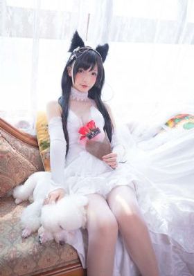 全职法师第七季免费观看_BD高清视频观看
